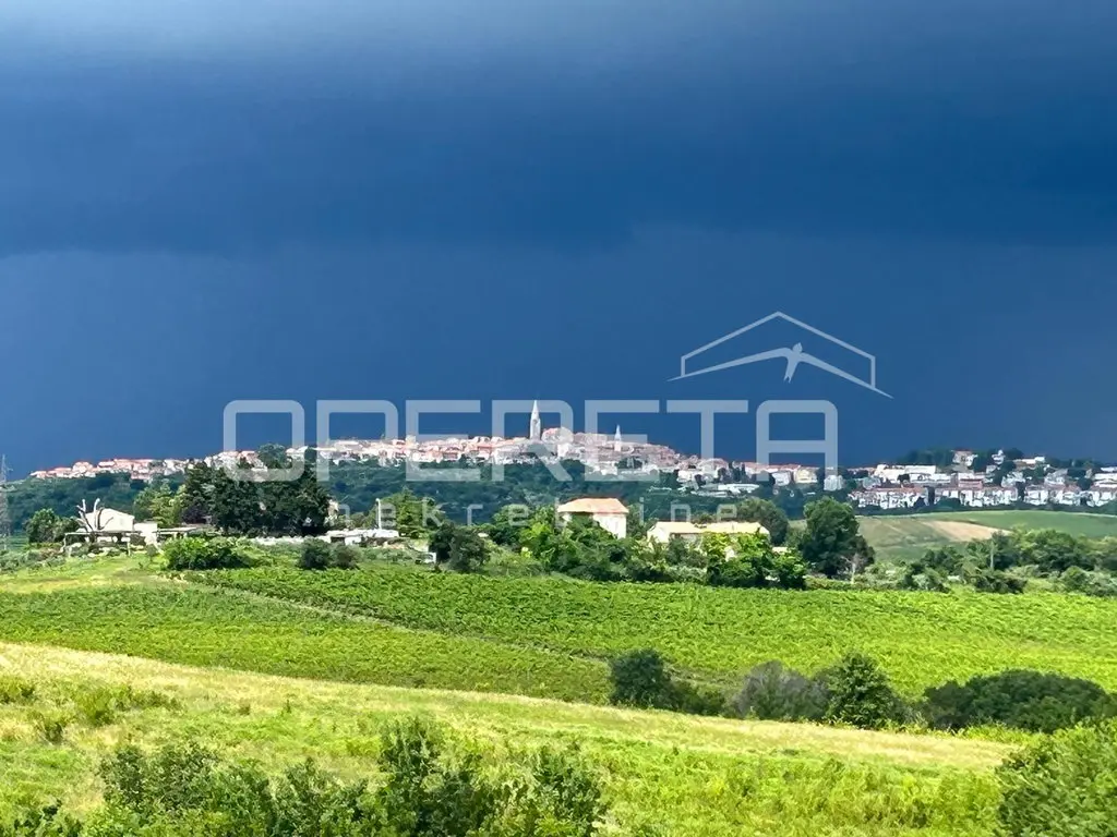 Istrische Hügelstadt mit Kirchturm über Weinbergen unter dunklem Gewitterhimmel